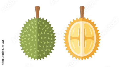 Flat vector durian isolated on white background