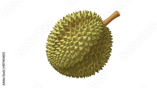 Flat vector durian isolated on white background