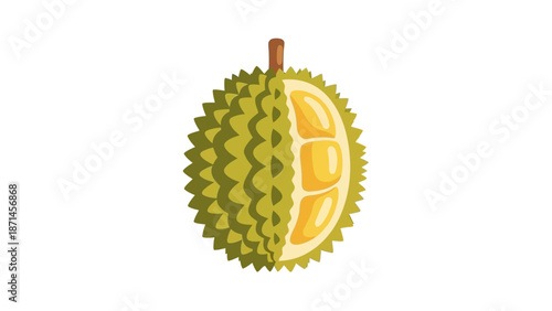 Flat vector durian isolated on white background