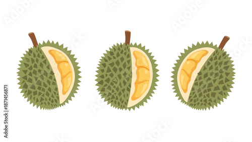 Flat vector durian isolated on white background