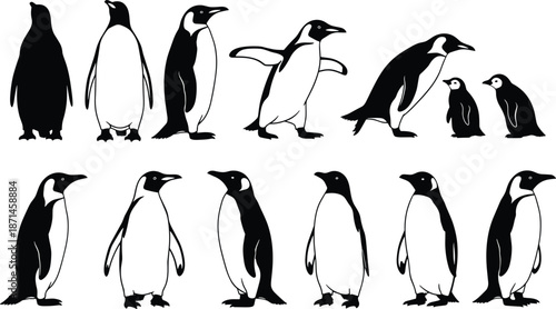 Penguin silhouette set, antarctic bird wildlife collection, cute penguins standing walking poses isolated on white background vector pack