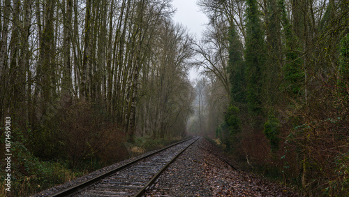 Rainy Day at Trojan Lake State Park at Trojan Nuclear Facility, near Rainier, Oregon	