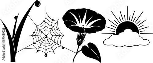 Silhouette of flowers spiderweb and sun on white background