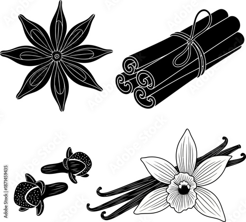 Spices Illustration Set