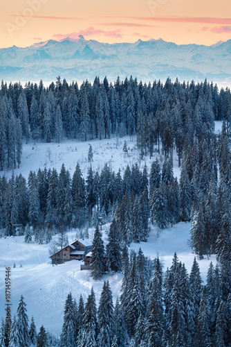Winter Sunrise at Feldberg: Snowy Forests and Golden Light in the Black Forest