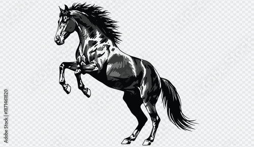 Majestic black horse rearing up on its hind legs with flowing mane and tail