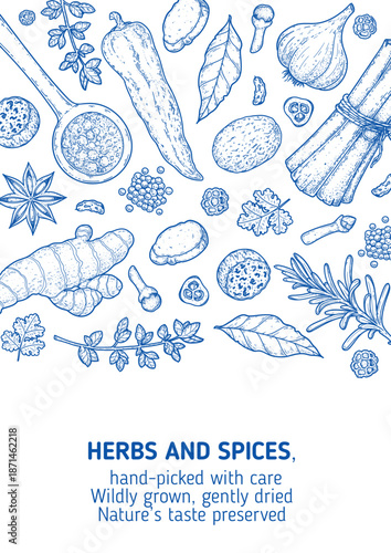 Herbs and spice sketch. Vector drawing illustration of herbs and spices Hand-drawn elements, Ideal for packaging, branding, and culinary projects.