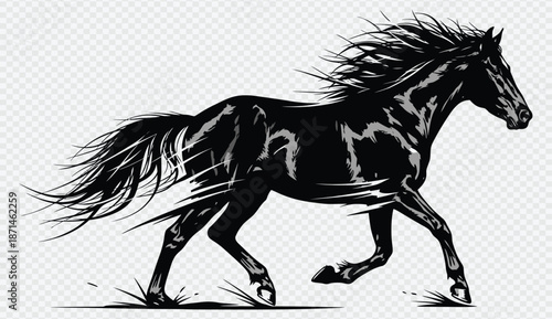 Majestic black horse running freely with flowing mane and tail in a dynamic pose