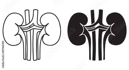 Detailed kidney anatomy illustrations in black and white