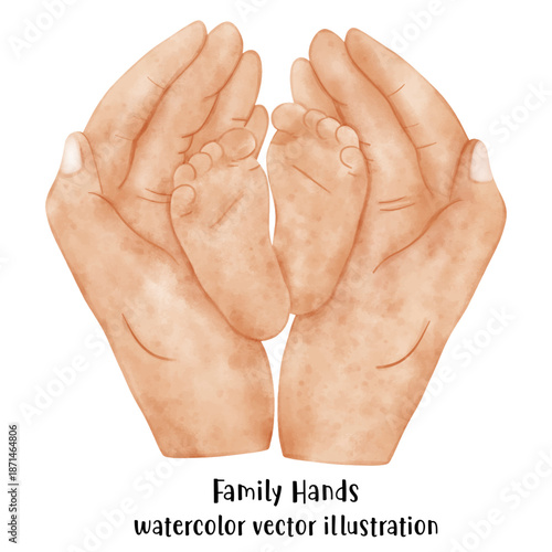Watercolor vector of adult hands gently cradling baby feet, symbolizing care and family love.