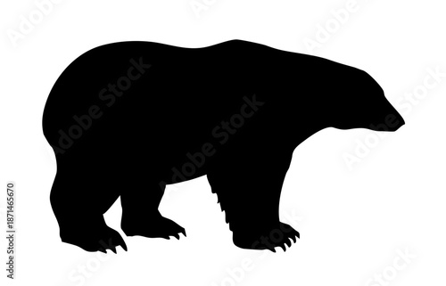 Vector drawing. Big polar bear
