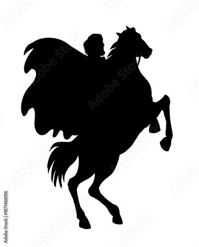 Vector drawing. Man on the horse