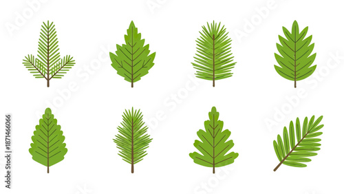 Collection of Green Leafy Tree Branch Illustrations