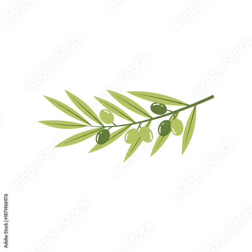 A detailed illustration of an olive branch with green leaves and ripe olives, symbolizing peace