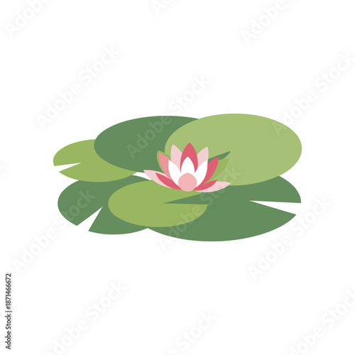 A serene water lily floating on green lily pads in a tranquil pond, evoking peace and nature
