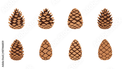Collection of Varied Pine Cone Vector Illustrations