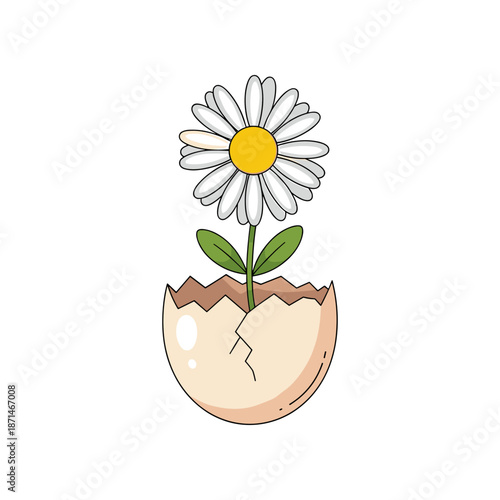 A vibrant daisy flower emerging from a cracked eggshell against a white background