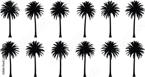 Palm tree silhouette collection, tropical nature icons, summer beach landscape elements, black shadow trees, isolated on white background illustration
