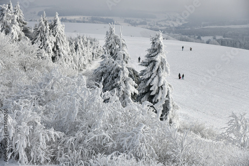 Rodeln auf der Wasserkuppe in der schönen Rhön