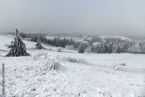 Rodeln auf der Wasserkuppe in der schönen Rhön