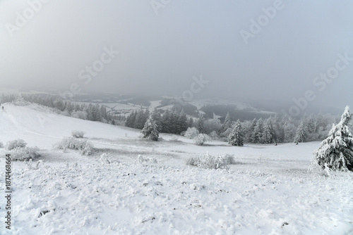 Rodeln auf der Wasserkuppe in der schönen Rhön