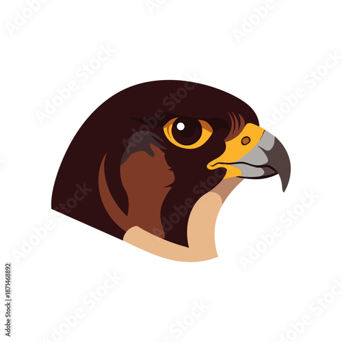 Close-up of a majestic falcon's head showcasing its sharp features and intense gaze