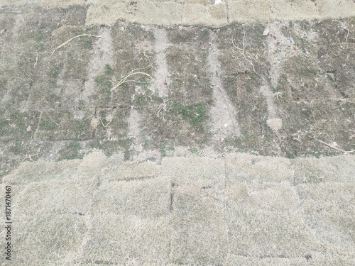 Grass replantation, repair, Sao Paulo, Brazil