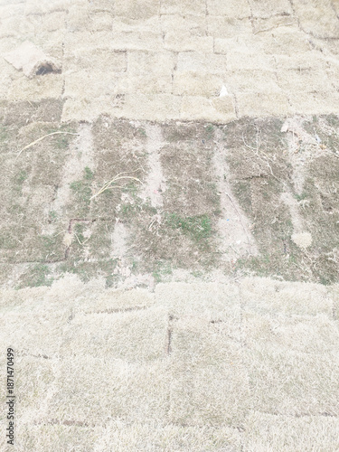 Grass replantation, repair, Sao Paulo, Brazil