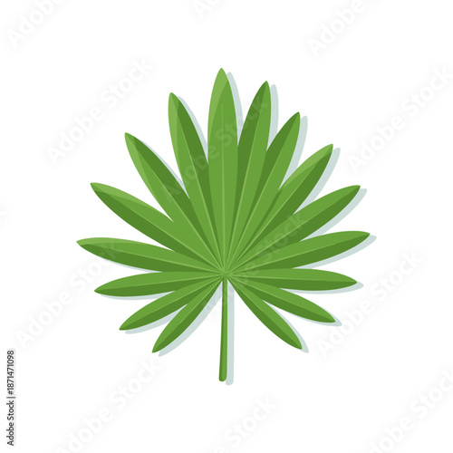 Detailed illustration of a green leaf showcasing its intricate structure and vibrant color