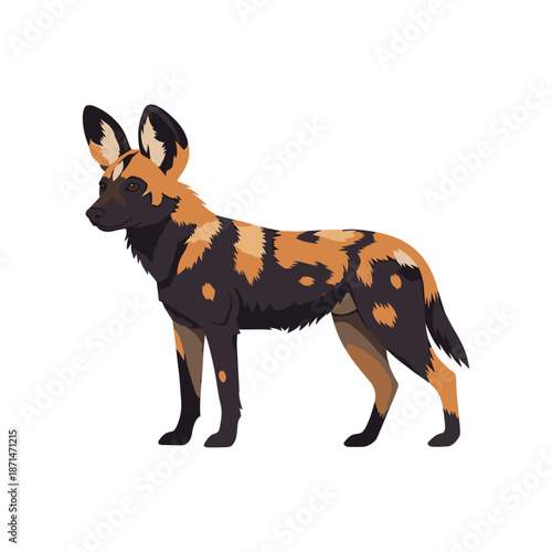 Illustrated African wild dog standing proudly against a plain background, showcasing its unique coat