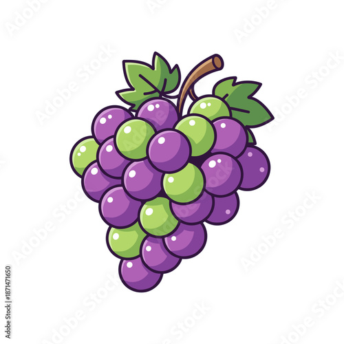 Vibrant bunch of grapes with purple and green hues, showcasing freshness against a white background