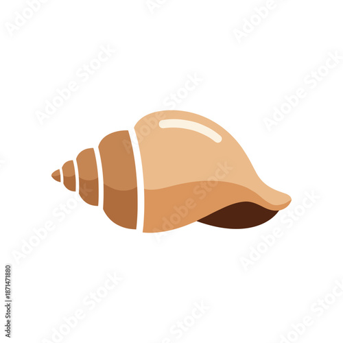 A beautifully detailed shell resting on a white background, ideal for marine-themed designs