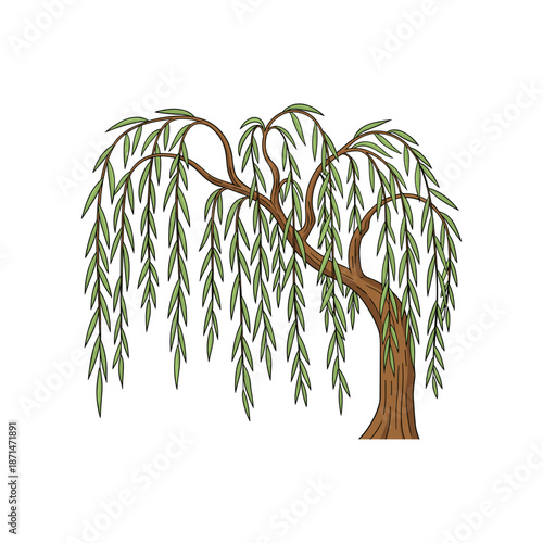 A beautifully illustrated willow tree with long, cascading leaves, symbolizing tranquility in nature