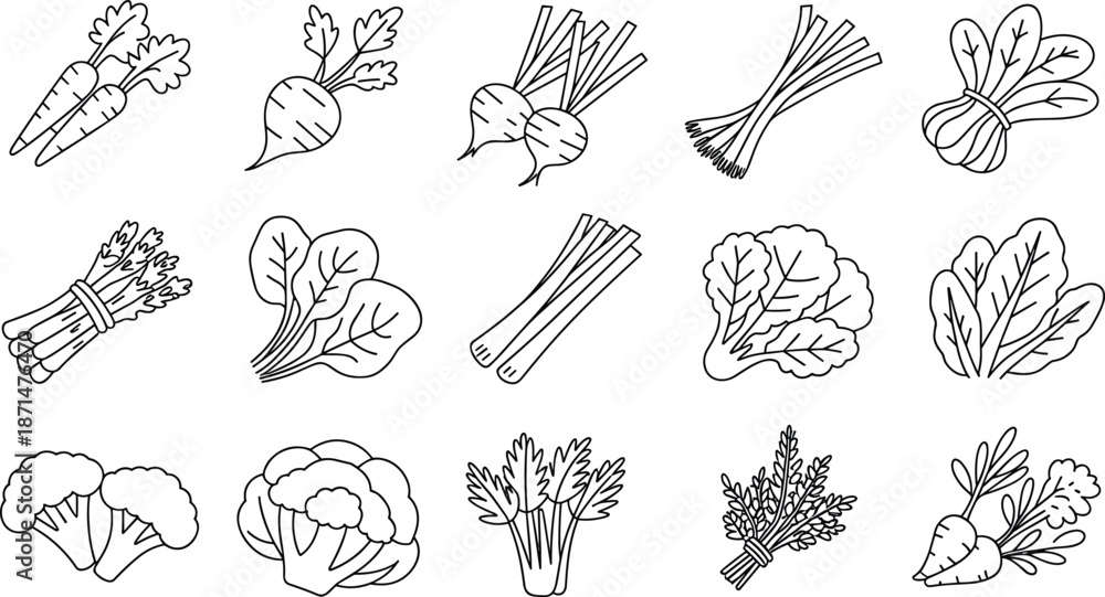 Obraz premium Set of minimalist black outline icons featuring fresh garden vegetables including carrots, radishes, beets, broccoli, cauliflower, and leafy greens.