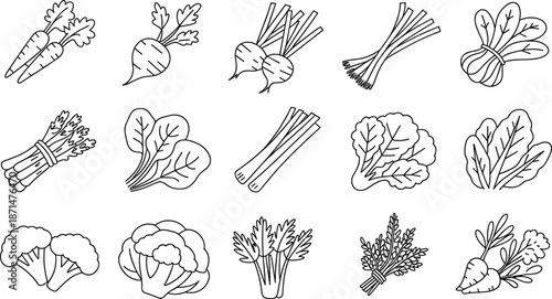 Set of minimalist black outline icons featuring fresh garden vegetables including carrots, radishes, beets, broccoli, cauliflower, and leafy greens.