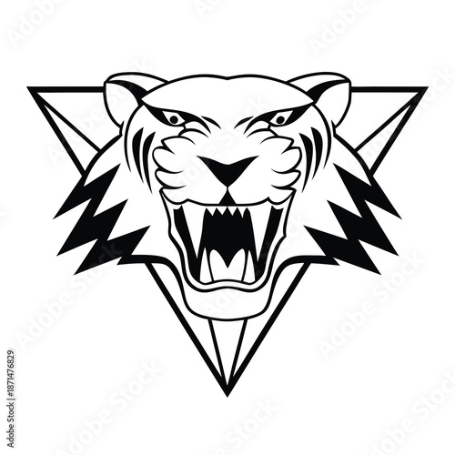 Photography tiger head vector