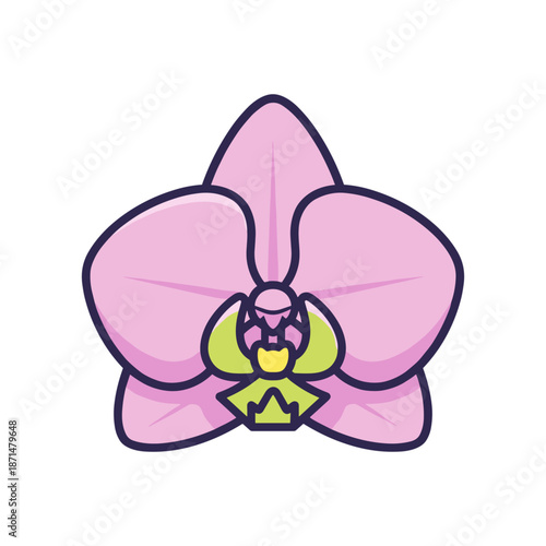 A vibrant pink orchid with green accents, symbolizing beauty and elegance in nature