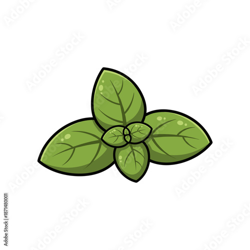 Close-up of vibrant green basil leaves showcasing their texture and freshness against a plain background