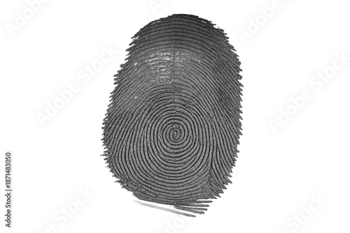Black and White Fingerprint Close-Up on Transparent Background for Security and Technology