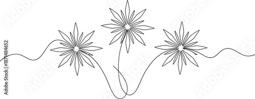 Continuous line flower drawing, minimalist floral art, elegant botanical design, abstract nature illustration, modern simplicity, decorative artwork, flat vector illustration