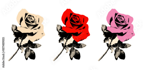 Rose flowers with leaves halftone elements for collage set. Cut out of magazine vintage stickers, white, pink and red blossoms. Modern retro vector illustration isolated on transparent background