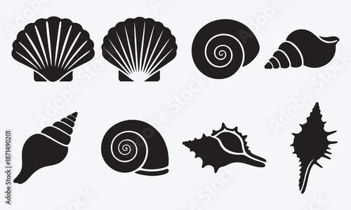 set of sea shells. spiral and fan shaped marine life forms. silhouette vector style with white background