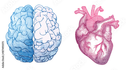 Creative Brain and Heart Design Concept Vector Art for Illustration