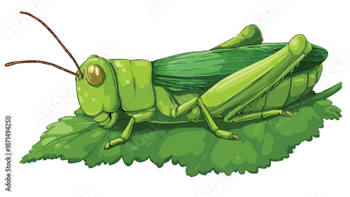 Cute Cartoon Grasshopper Sleeping on Leaf Vector with Outline