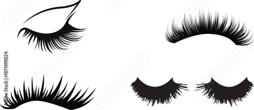 Black Eyelash Silhouette Set – Luxury False Lashes Makeup Beauty Icons