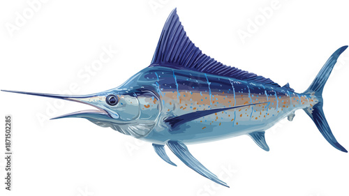 Majestic Marlin Fish Vector Illustration on White Background