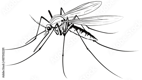 Colorful Mosquito Cartoon Vector Illustration with Outline on White Background