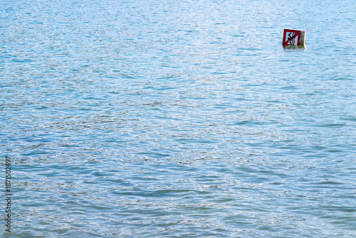 Boje mit Piktogramm Schwimmen verboten, Bodensee, Deutschland
