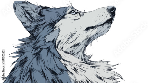 Playful Wolf Cartoon Vector with Outline on White Background