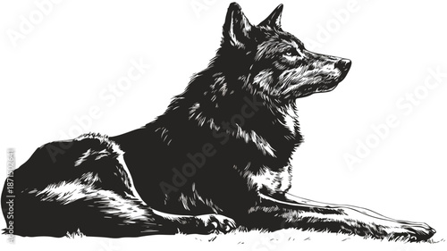 Playful Wolf Cartoon Vector with Outline on White Background